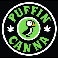 Puffin Canna