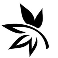 Davis Cannabis Collective