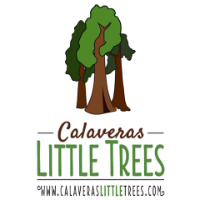 Alternative Lifestyle Business Experts Calaveras Little Trees in Arnold CA