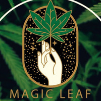 Magic Leaf Store Bielefeld