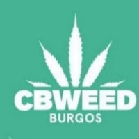 CBD CBWEED SHOP BURGOS