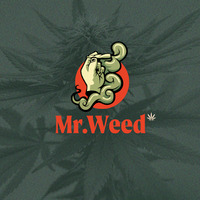 Alternative Lifestyle Business Experts Mr. Weed | Tienda CBD Madrid | CBD Shop Chueca in Madrid Madrid