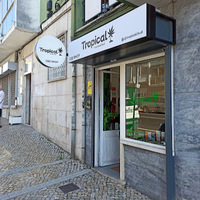 Tropical Bud CBD Shop - Amadora