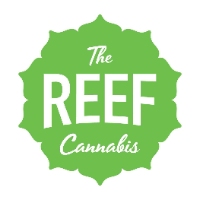 Alternative Lifestyle Business Experts The Reef Capitol Hill in Seattle WA