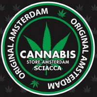 Cannabis Store Amterdam Sciacca