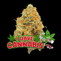 I HAVE CANNABIS Bangkok