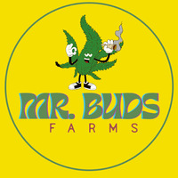 Mr. Buds Farms | Marijuana | Weed | Low prices Dispensary |