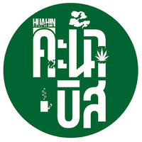 Huahin Kale-Biz (Weed)