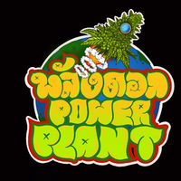 ร้านกัญชา พลังดอกPowerplant อ้อมใหญ่ Cannabis Shop 