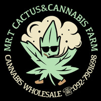 Alternative Lifestyle Business Experts MR.T CACTUS&CANNABIS FARM in Tha Mai District Chanthaburi