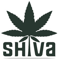 Shiva Cannabis - Weed & Bar