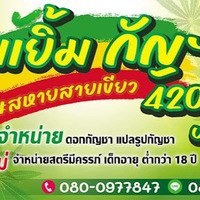 Alternative Lifestyle Business Experts ยิ้มเยิ้ม กัญฯ420 in Nong Phai District Phetchabun