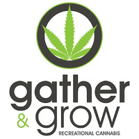 Alternative Lifestyle Business Experts gather & grow recreational cannabis in Ottawa ON