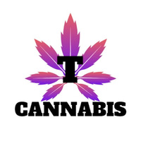 T Cannabis