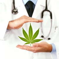 Cannabis Business Experts Compassionate Care Consultants, LLC in State College PA