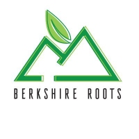 Cannabis Business Experts Berkshire Roots Adult Use - Boston in Boston MA