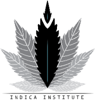 Cannabis Business Experts Indica Institute in Toronto ON