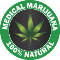 Cannabis Business Experts Benevolent Care LLC in Fort Lauderdale FL