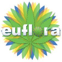 Cannabis Business Experts Euflora 16th Street Mall in Denver CO