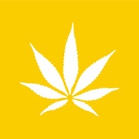 Cannabis Business Experts Coastal Dispensary SB in Santa Barbara CA
