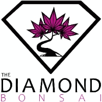 The Diamond Bonsai