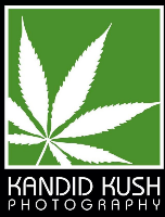Kandid Kush Studios