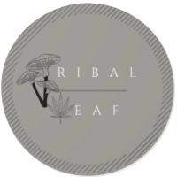 Cannabis Business Experts Tribal Leaf in Washington DC
