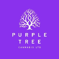 Cannabis Business Experts Purple Tree Cannabis - Mississauga Dispensary in Mississauga ON