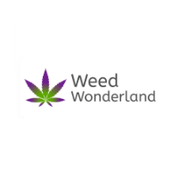 Cannabis Business Experts Weed Wonderland in  