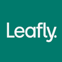Cannabis Business Experts Leafly in Seattle WA