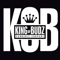 Alternative Lifestyle Business Experts King of Budz - Ferndale Dispensary in Ferndale MI