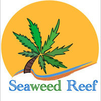 Seaweed Reef