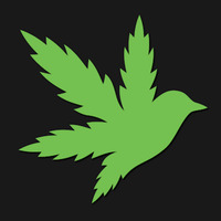 Flyhi Cannabis Delivery