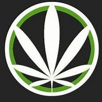 Alternative Lifestyle Business Experts EcoCann Dispensary in Eureka CA