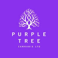 Purple Tree - Toronto Dispensary