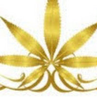 JJ's Hemp Dispensary THC + CBD Store