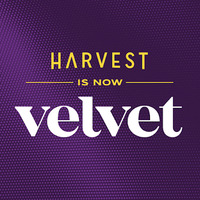 Velvet Cannabis Weed Dispensary Napa