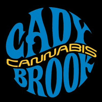 Cady Brook Cannabis | Adult Use Dispensary