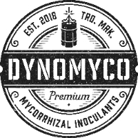 Cannabis Business Experts Dynomyco in Mazor Center District