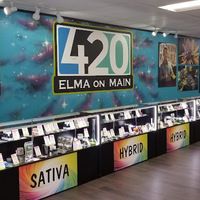 Alternative Lifestyle Business Experts 420 Elma on Main in Elma WA